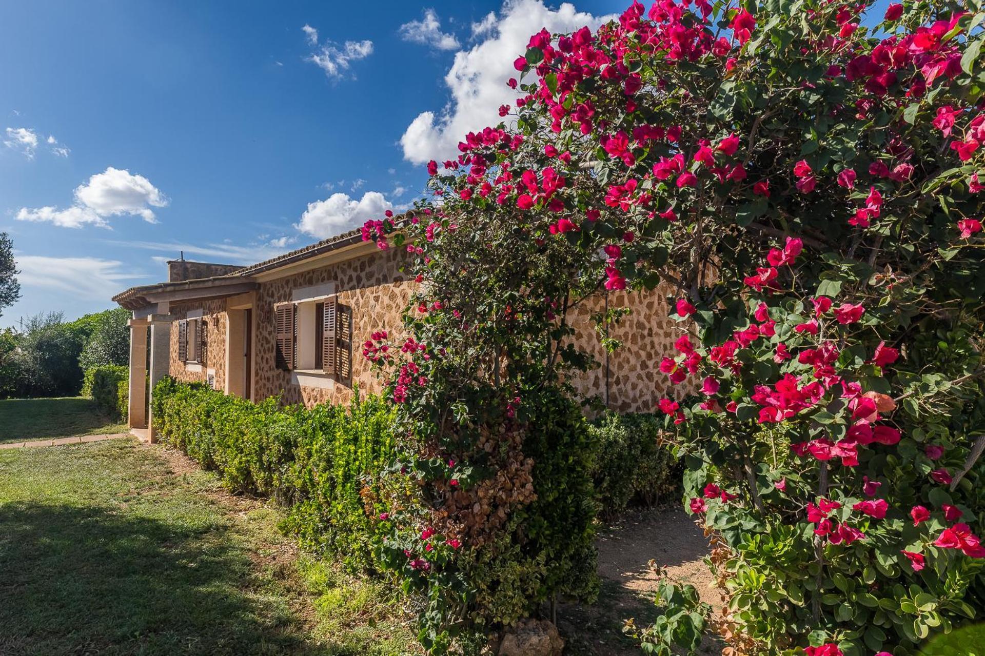 Son Sea Villa Campos  Exterior photo